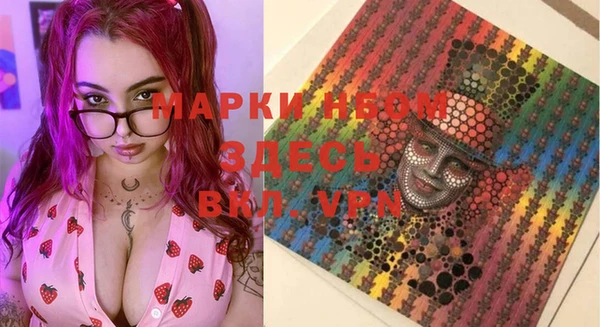 ECSTASY Алзамай