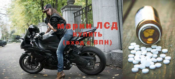 ECSTASY Алзамай