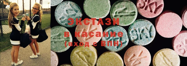 ECSTASY Алзамай