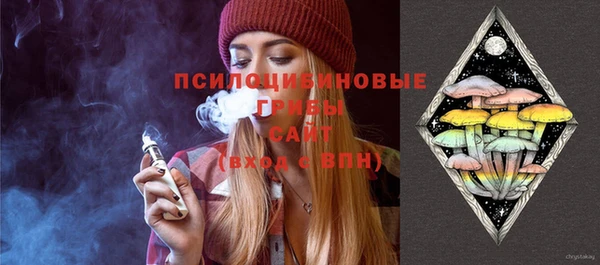 ECSTASY Алзамай