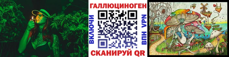 Псилоцибиновые грибы Psilocybe Тосно
